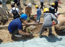 大宮南小学校児童による植樹