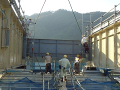 支点横桁の架設状況です。