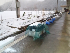 大宮第三小学校のポットです。