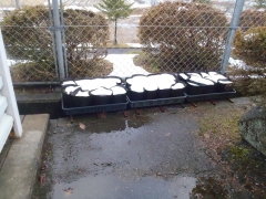 大宮第二小学校のポットです。