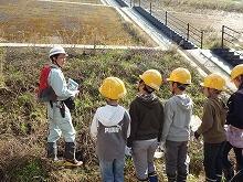 育てている苗は、この場所に植えます。